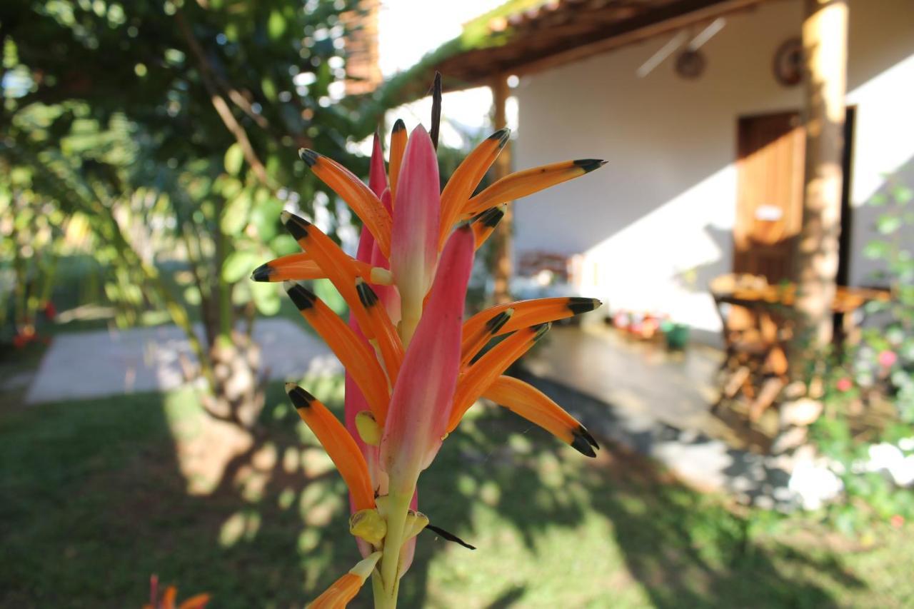 Family Guest House Velha Boipeba Luaran gambar